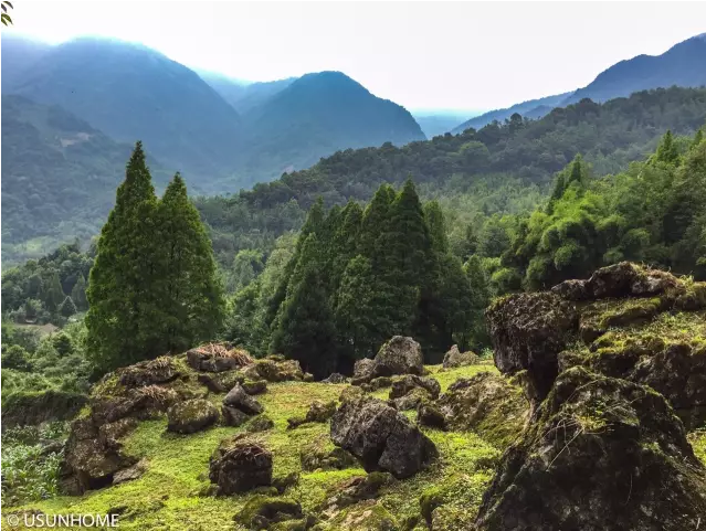 1498531972813903.png 9.png