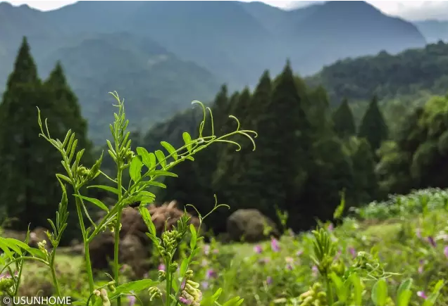 1498531993728786.png 10.png